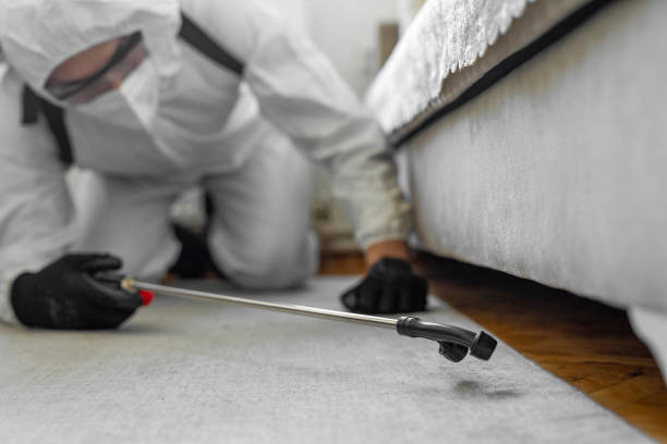 Professional Termite Control technician working in Fayette, MO