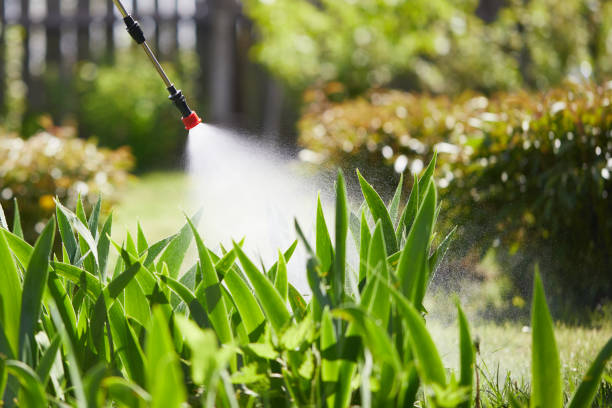 24/7 Emergency Termite Control experts in Fayette, MO